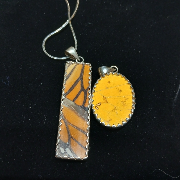 Real Butterfly wings in Sterling Silver Necklace- Nature's Jewels - Picture 3 of 9